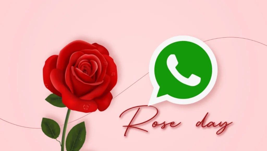 Send Rose Day sticker to special people on WhatsApp.