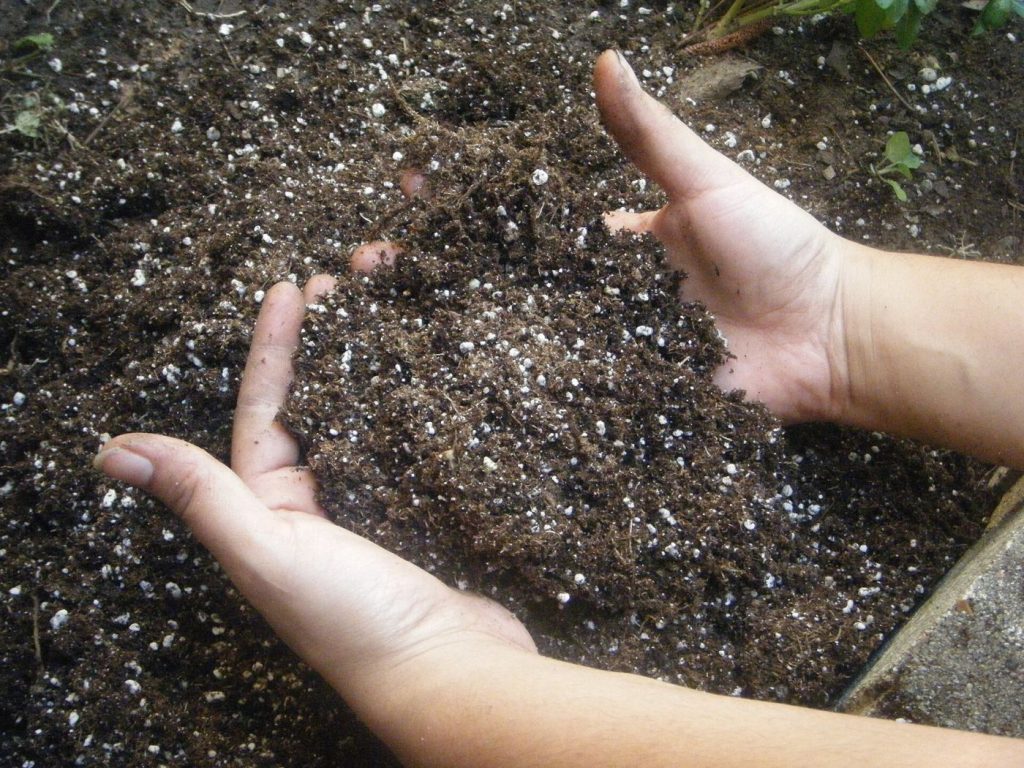 farmer hands checking soil between rows of young field crops