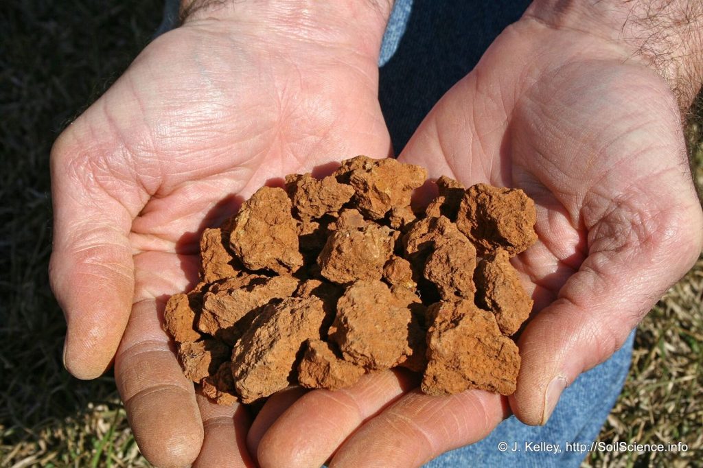Soil Microbes Shift After a Single Dry Summer hands holding dark soil in a crop field